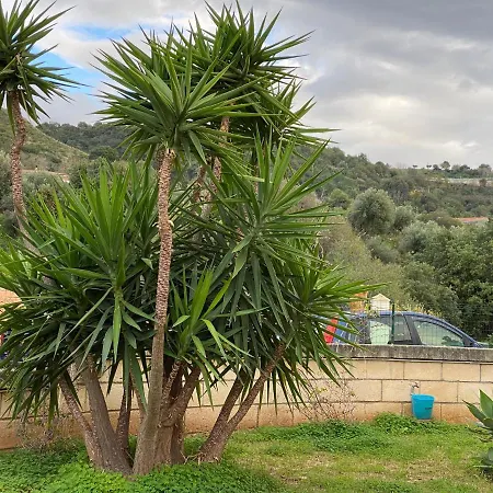 Casale Ristrutturato 3 Km Tropea Санта-Доменика