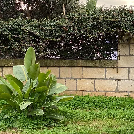 Casale Ristrutturato 3 Km Tropea Appartement