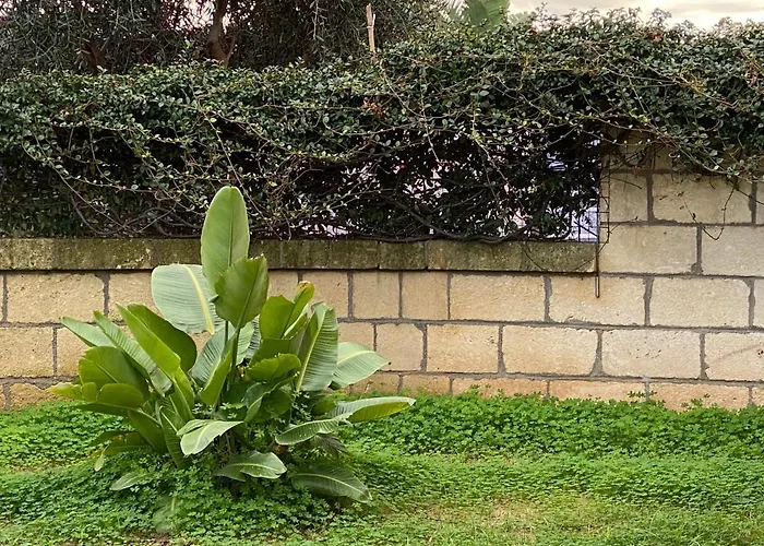 Casale Ristrutturato 3 Km Tropea Appartement