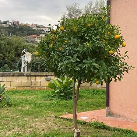 Casale Ristrutturato 3 Km Tropea Apartment Santa Domenica (Vibo Valentia)