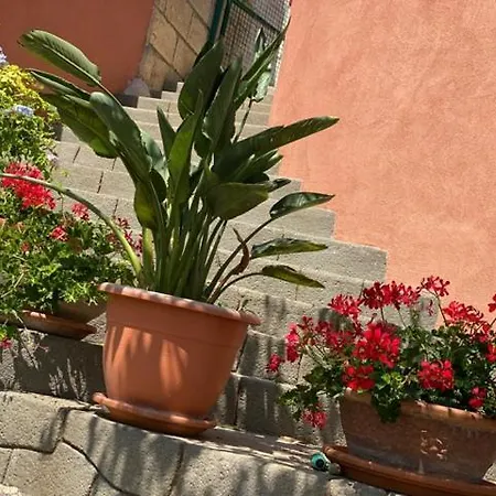 Casale Ristrutturato 3 Km Tropea Apartment Santa Domenica (Vibo Valentia)