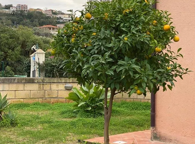 Casale Ristrutturato 3 Km Tropea דירה סנטה דומניקה