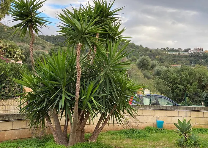 Casale Ristrutturato 3 Km Tropea סנטה דומניקה