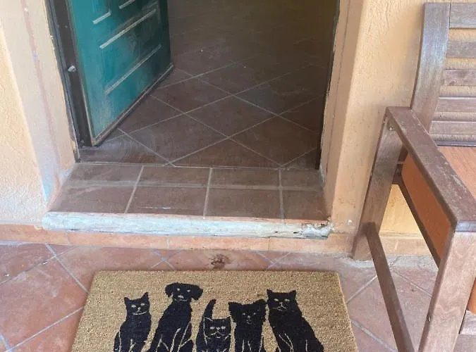 Casale Ristrutturato 3 Km Tropea סנטה דומניקה